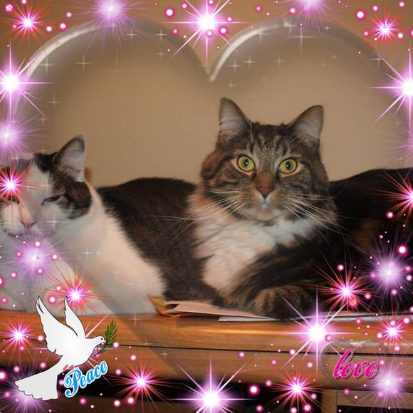 Meet your Posher, Cindy - Picture 1 of 1